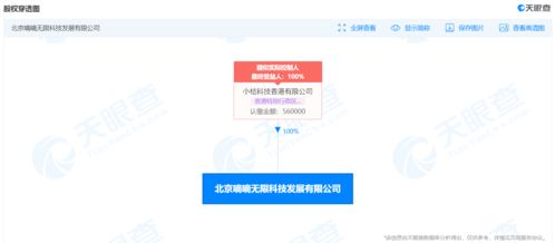 滴滴關(guān)聯(lián)公司申請(qǐng) 新桔 新桔代駕 商標(biāo)