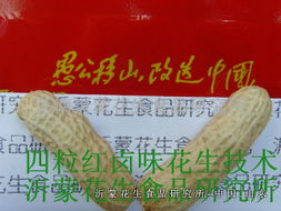 四粒紅鹵味花生技術(shù)轉(zhuǎn)讓全攻略 掌握核心工藝，開(kāi)啟創(chuàng)業(yè)之路